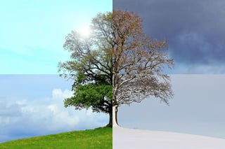 Business Performance Seasonality