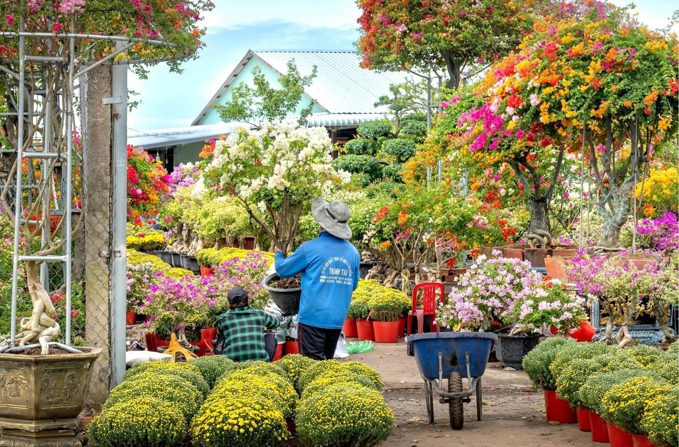 Greenhouse Business w Property, Priced to Sell