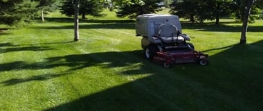 Large, Successful 4 Season Landscaping/Lawn Service