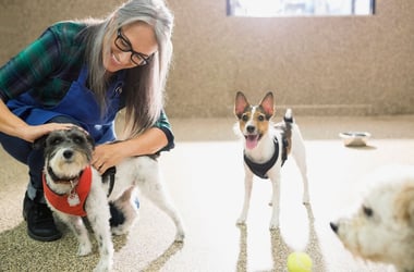 Northern WI Pet Care Facility - RE Included