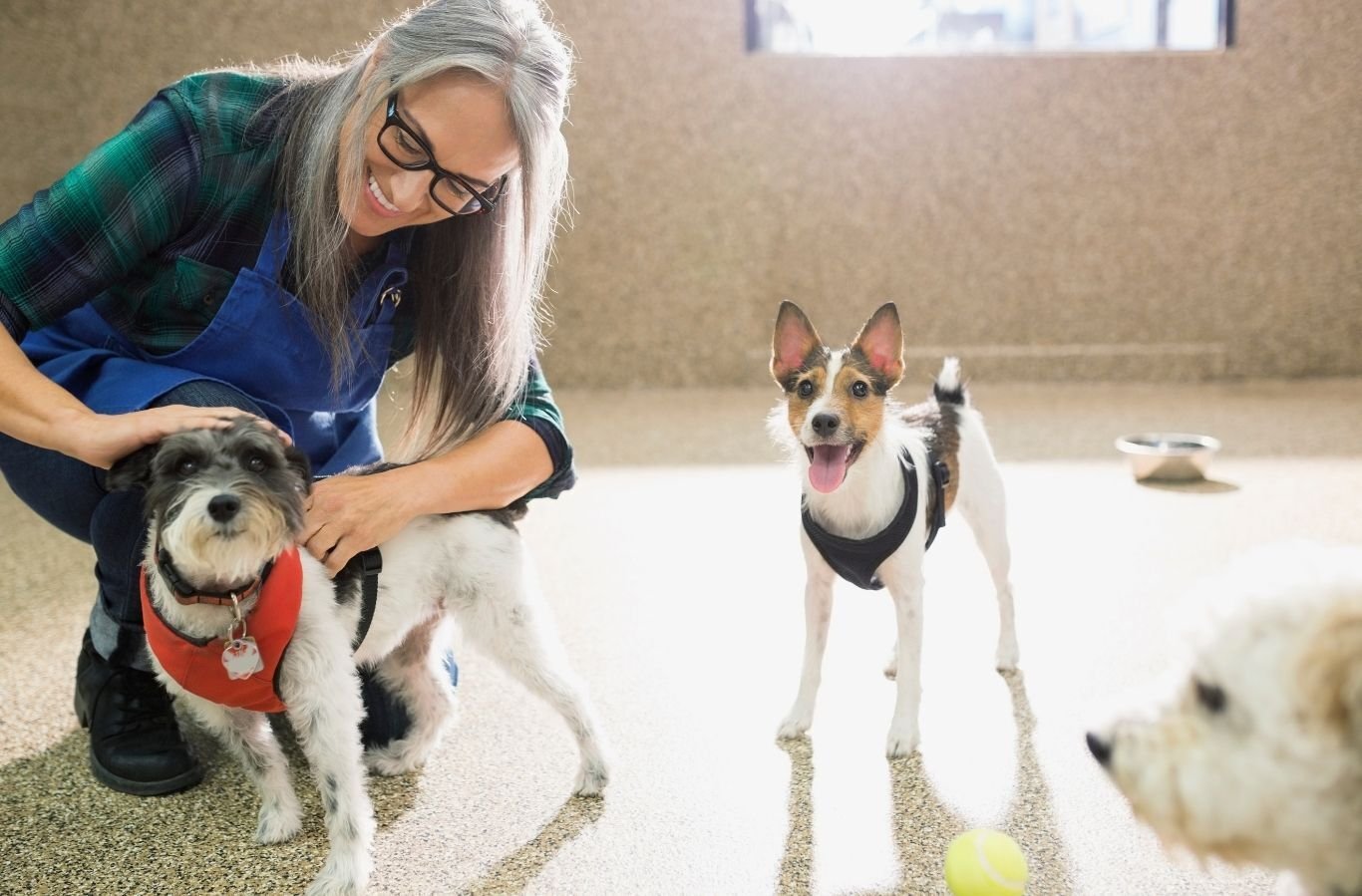 Northern WI Pet Care Facility - RE Included