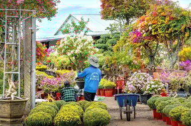 Greenhouse Business w/ Property